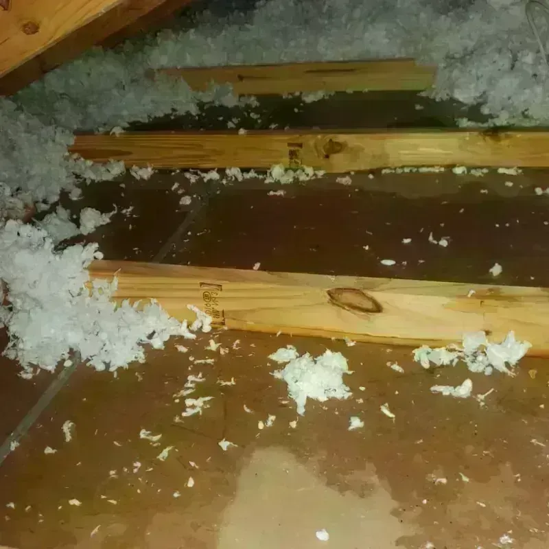 Attic Water Damage in Gregg County, TX