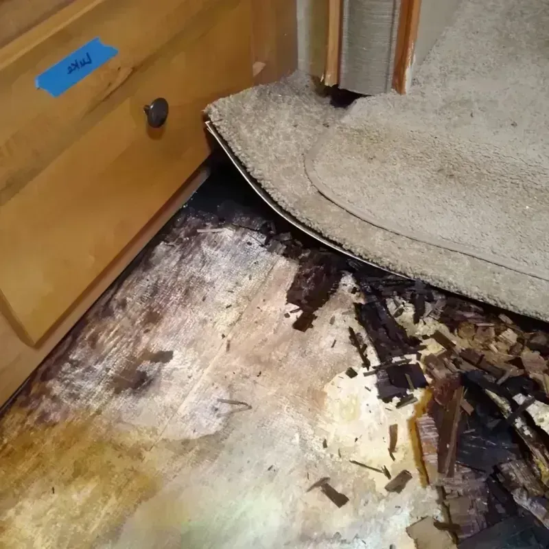 Wood Floor Water Damage in Gregg County, TX